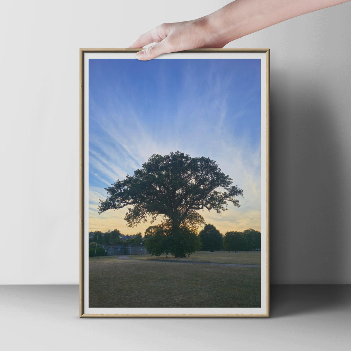 Ancient Oak Tree Sunset Poster, Dramatic Sky Wall Art, English Park Landscape Print, Nature Photography, Golden Hour Tree Silhouette Decor