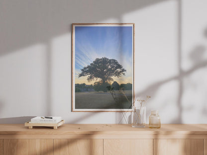 Ancient Oak Tree Sunset Poster, Dramatic Sky Wall Art, English Park Landscape Print, Nature Photography, Golden Hour Tree Silhouette Decor