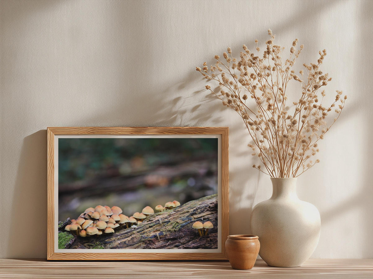 Fungi Mushroom Photography Poster mockup - Neutral_Mockup_Studio_509