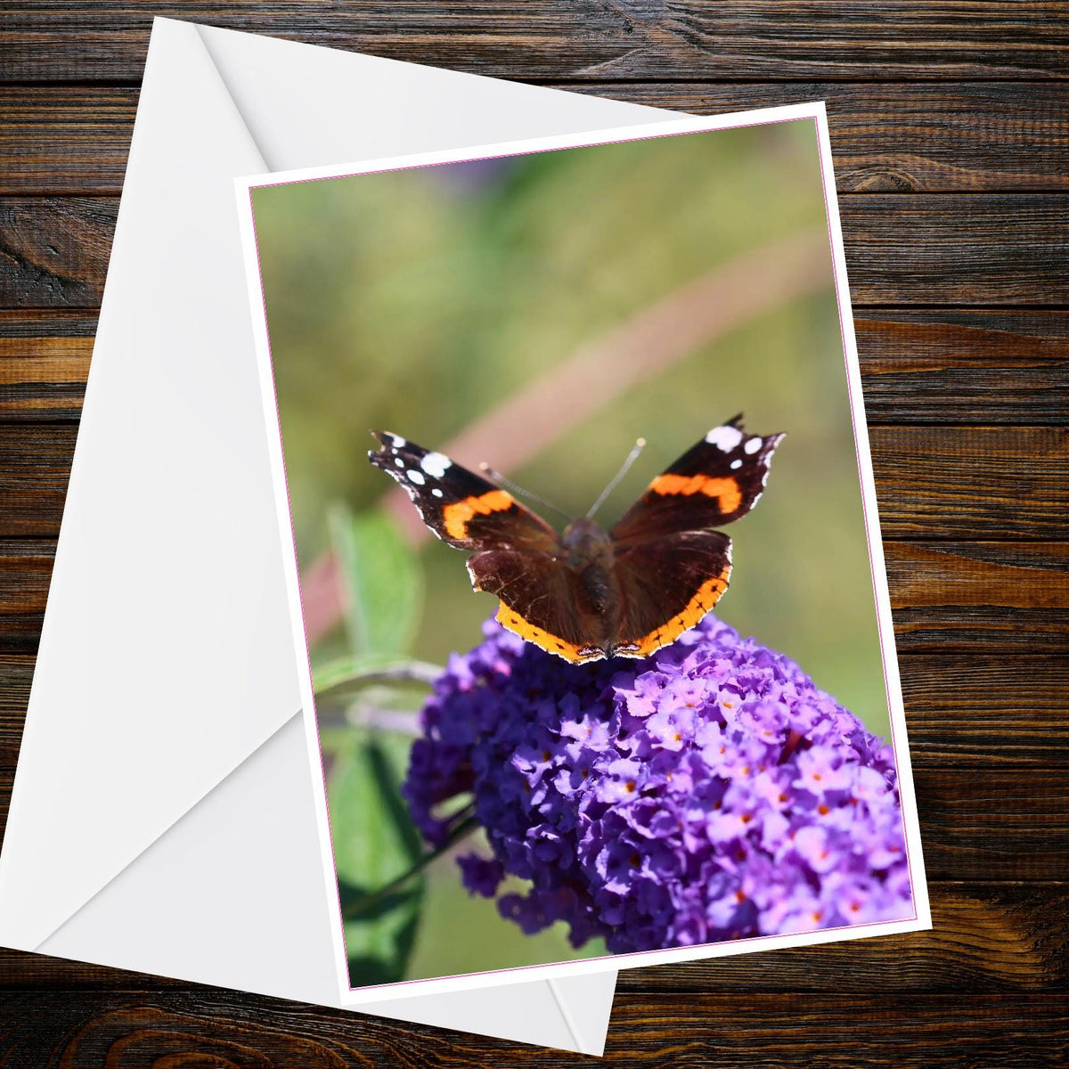 Red Admiral Butterfly A6 Greetings Card - Butterfly Collection | Print by Marcus Brown