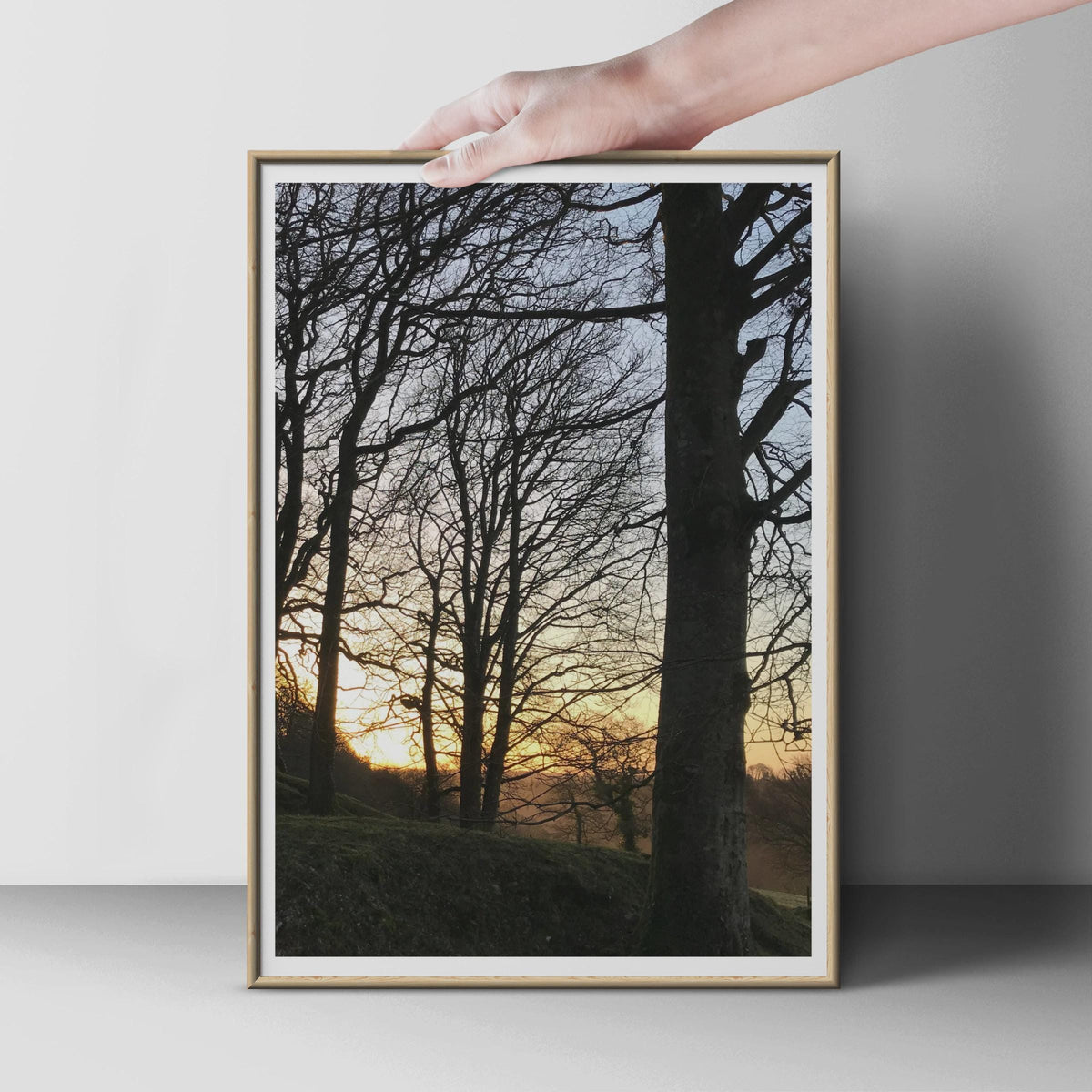 Winter Trees Sunset Poster, Bare Branch Silhouette Wall Art, Golden Sky Nature Print, Woodland Photography, Moody Landscape Home Decor