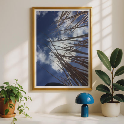 Dry Reed Stems Blue Sky Photo Poster, Looking Up Nature Photography Print, Dramatic Cloud Wall Art, Botanical Minimalist Home Decor