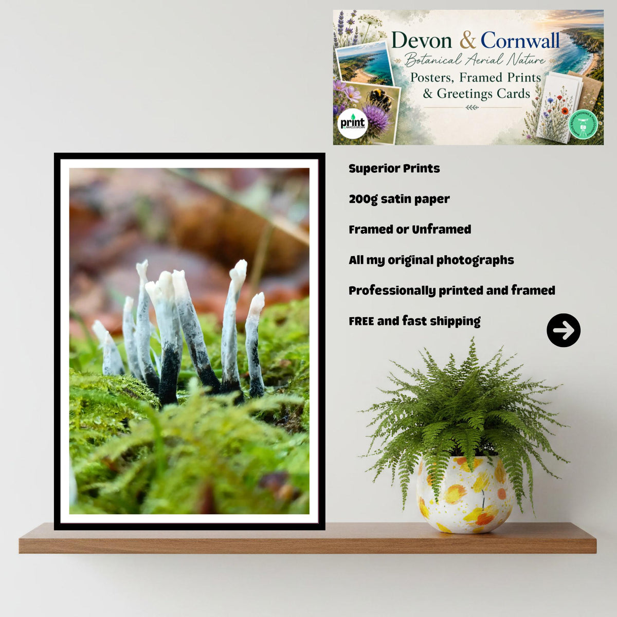 Candlesnuff Fungus Print, Fungi Art, Nature Photography, Woodland Decor, Botanical Poster, Mushroom Illustration, Archival Paper, Unique