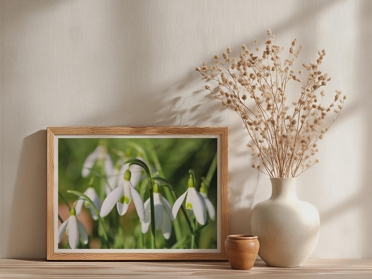Snowdrop Flower Poster, Spring Garden Botanical Framed-Print, White Galanthus Wall Art, Nature Photography, Floral Home Decor Gift