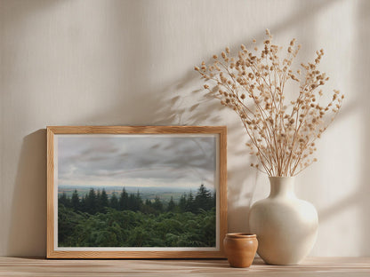 Dartmoor Trees Landscape Poster - image 3
