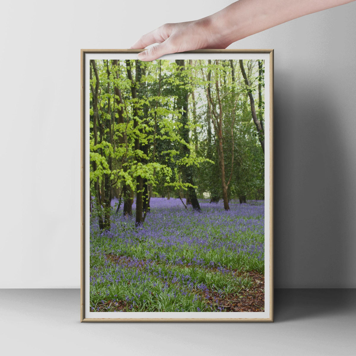 Bluebell Wood Photography Print, Spring Forest Poster, Purple Wildflower Wall Art, British Woodland Nature Photo Print for Living Room