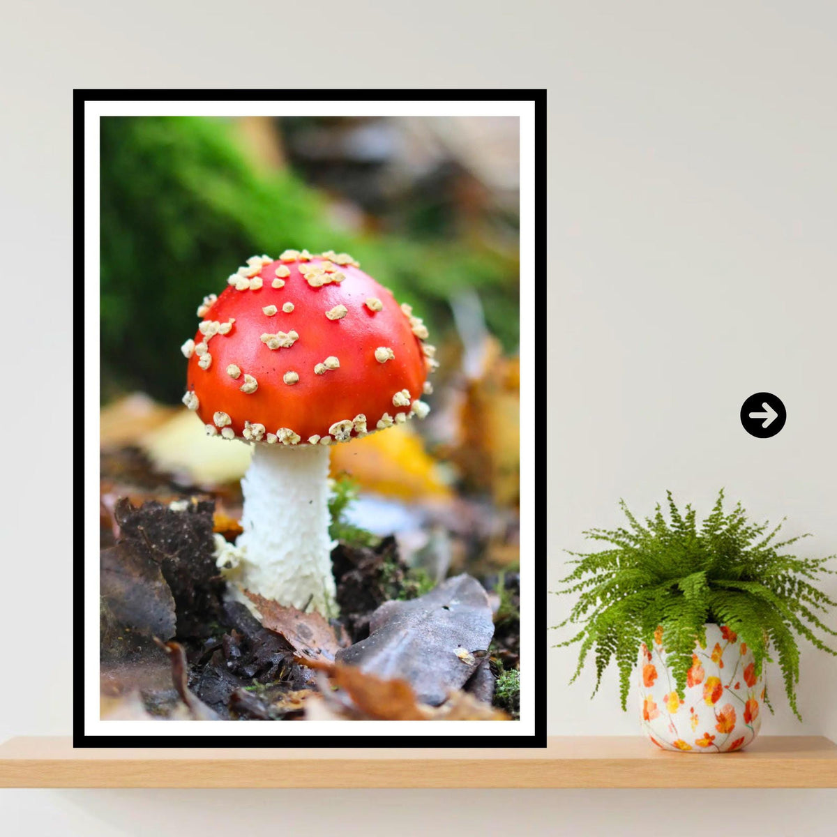 Fly Agaric Fungi Print Art, Mushroom Wall Decor, Nature Photography, Woodland Fungi, Botanical Print, Archival FSC Certified Paper, Unique