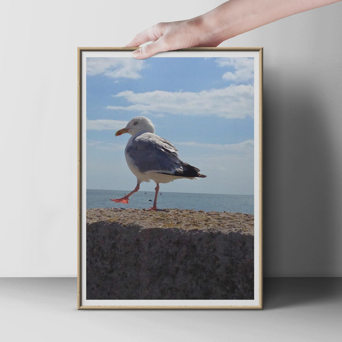 Seagull Print, Coastal Bird Photography Poster, Seaside Wall Art, Blue Sky Ocean, Beach House Decor, Wildlife Photo Print for Nautical Home