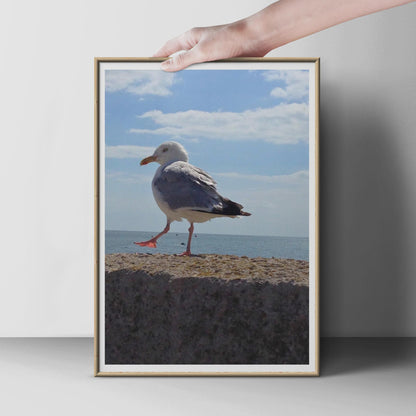 Seagull Print, Coastal Bird Photography Poster, Seaside Wall Art, Blue Sky Ocean, Beach House Decor, Wildlife Photo Print for Nautical Home