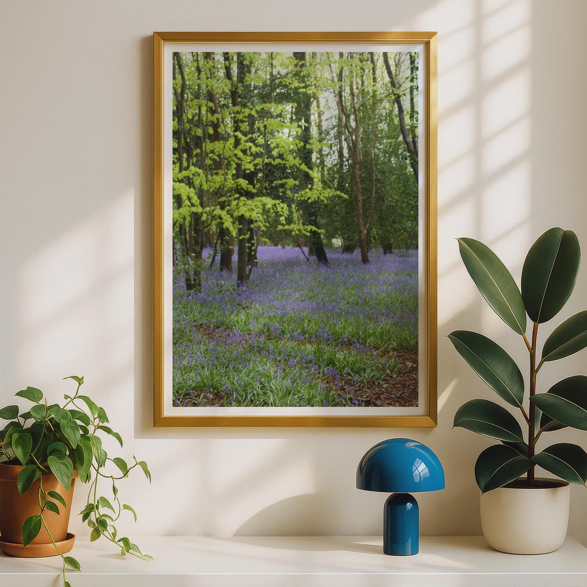 Bluebell Wood Photography Print - image 2