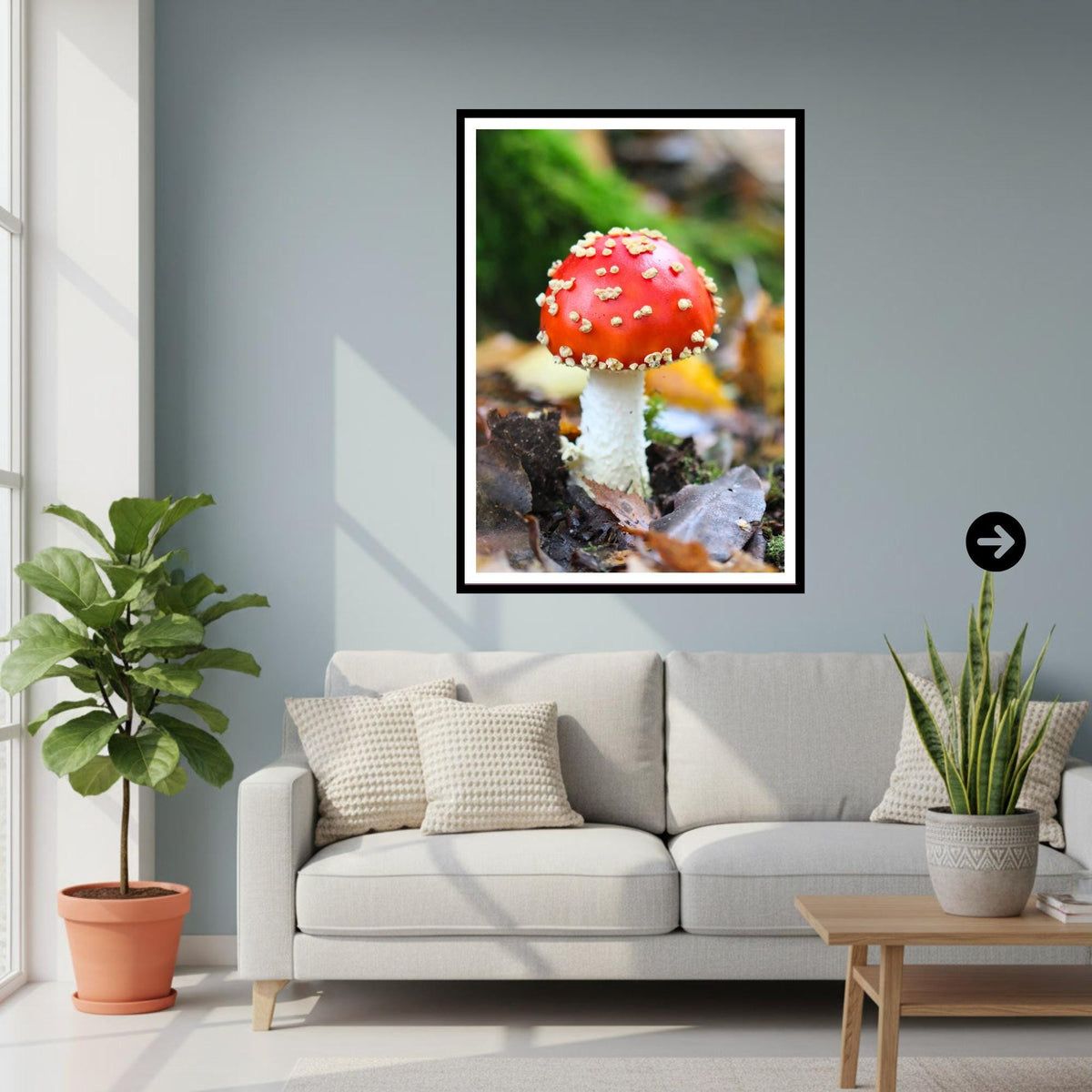 Fly Agaric Fungi Print Art, Mushroom Wall Decor, Nature Photography, Woodland Fungi, Botanical Print, Archival FSC Certified Paper, Unique