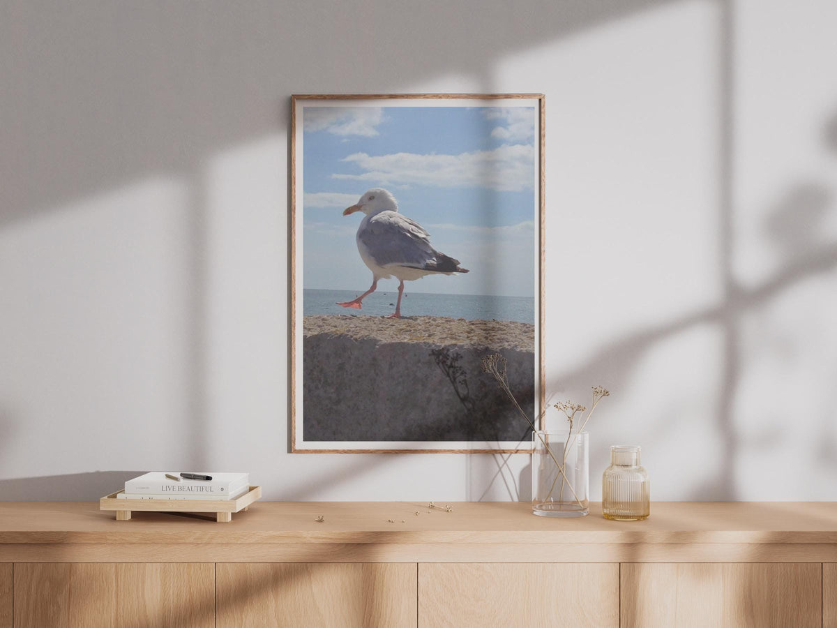 Seagull Print, Coastal Bird Photography Poster, Seaside Wall Art, Blue Sky Ocean, Beach House Decor, Wildlife Photo Print for Nautical Home