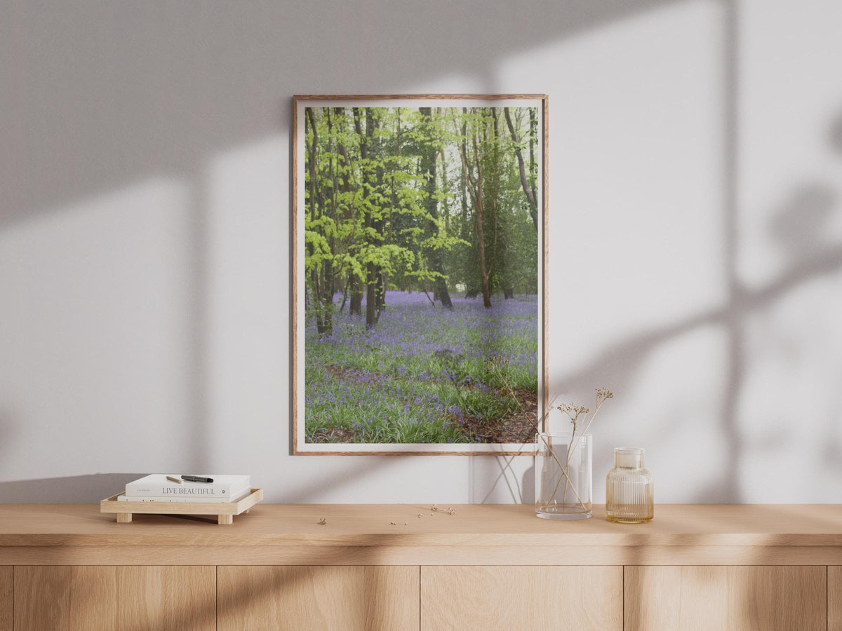 Bluebell Wood Photography Print - image 4
