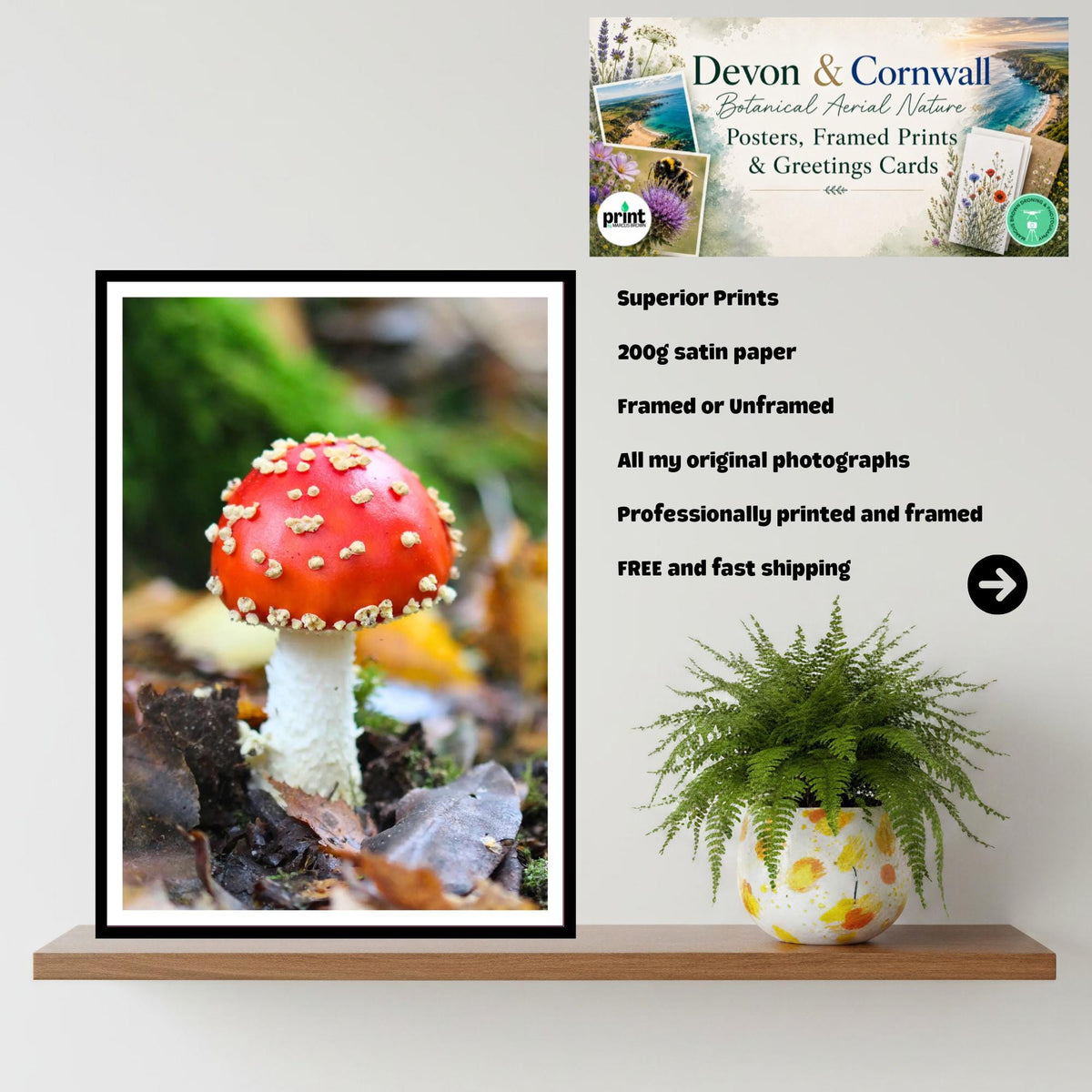 Fly Agaric Fungi Print Art, Mushroom Wall Decor, Nature Photography, Woodland Fungi, Botanical Print, Archival FSC Certified Paper, Unique