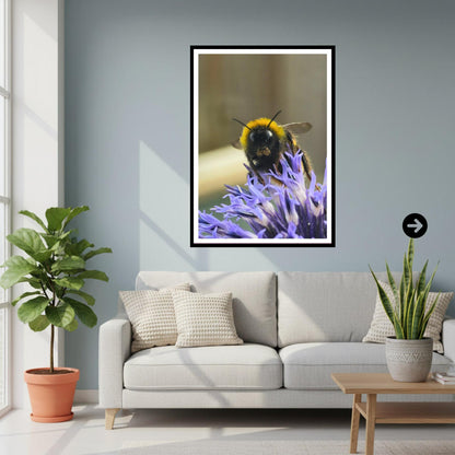 Bumblebee on Echinops Flower Print, Nature Photography, Pollinator Art, Garden Wildlife Decor, Blue Spiky Bloom, Archival Paper, Gift Idea