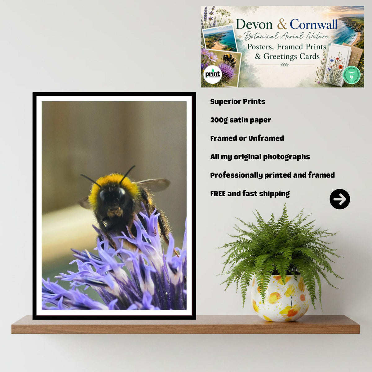 Bumblebee on Echinops Flower Print, Nature Photography, Pollinator Art, Garden Wildlife Decor, Blue Spiky Bloom, Archival Paper, Gift Idea