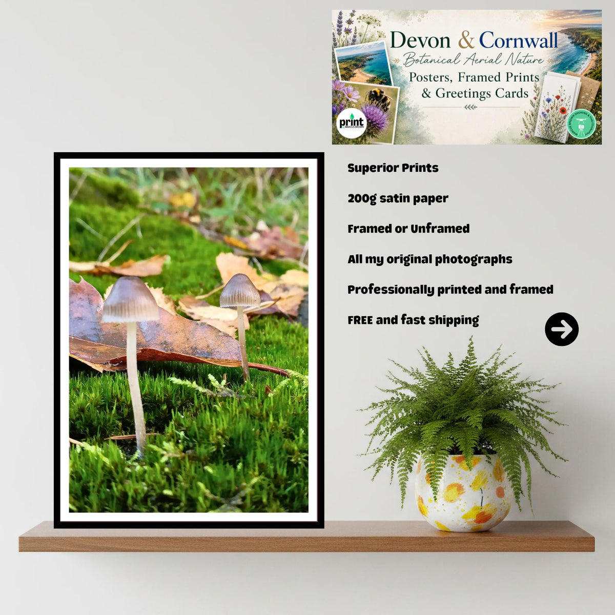 Glassy Inkcap Fungi Print Art, Mushroom Botanical Illustration, Nature Photography, Woodland Decor, Archival FSC Certified Paper, Fungi
