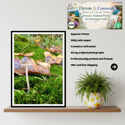 Glassy Inkcap Fungi Print Art, Mushroom Botanical Illustration, Nature Photography, Woodland Decor, Archival FSC Certified Paper, Fungi