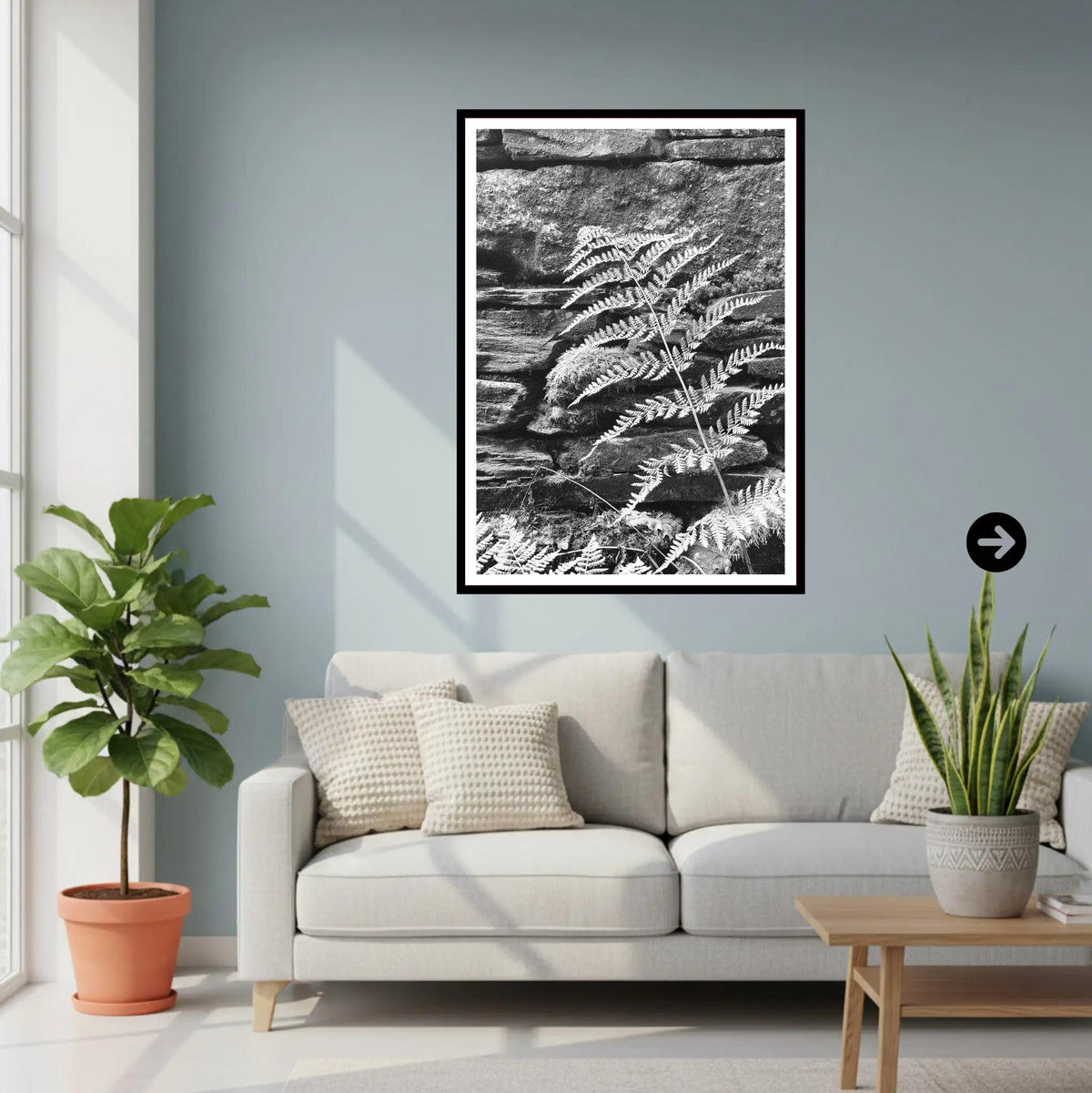 Fern on Stone Wall, Eden Project Cornwall — Botanical Wall Art Photography Print