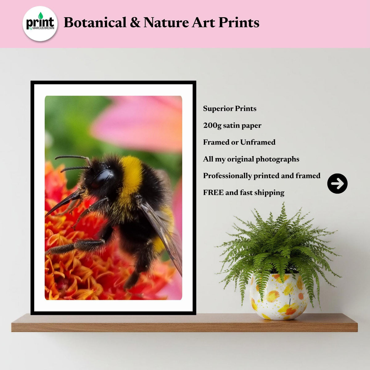 Macro Bumblebee Print | Colourful Botanical Wildlife Photography, Cottagecore Decor