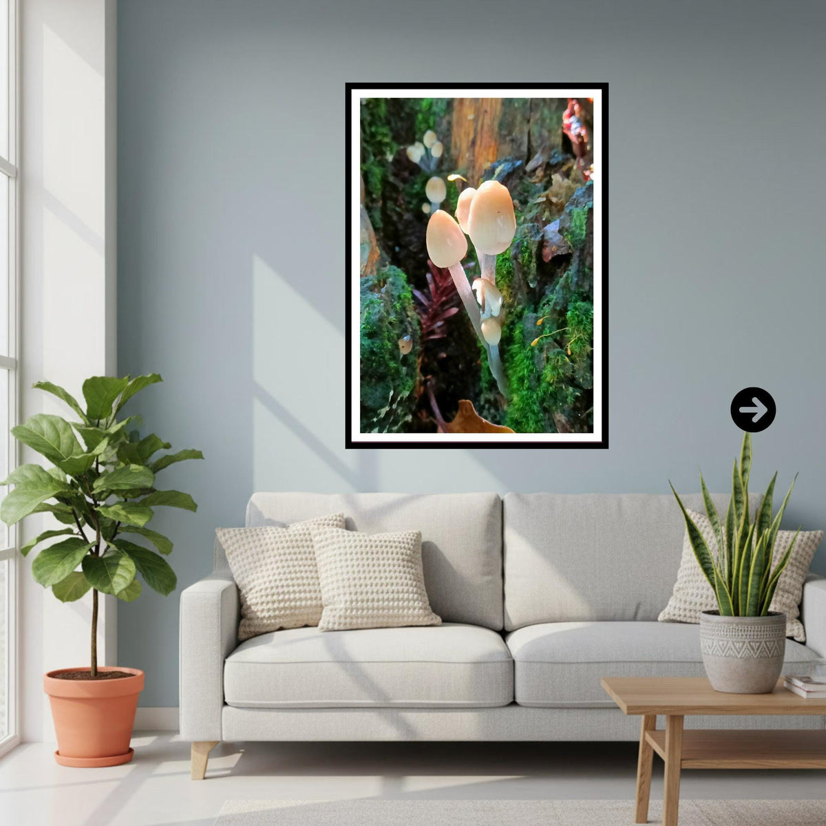 Mica Cap Fungi Print, Nature Photography, Woodland Art, Mushroom Poster, Botanical Wall Decor, Archival FSC Certified Paper, Unique Gift