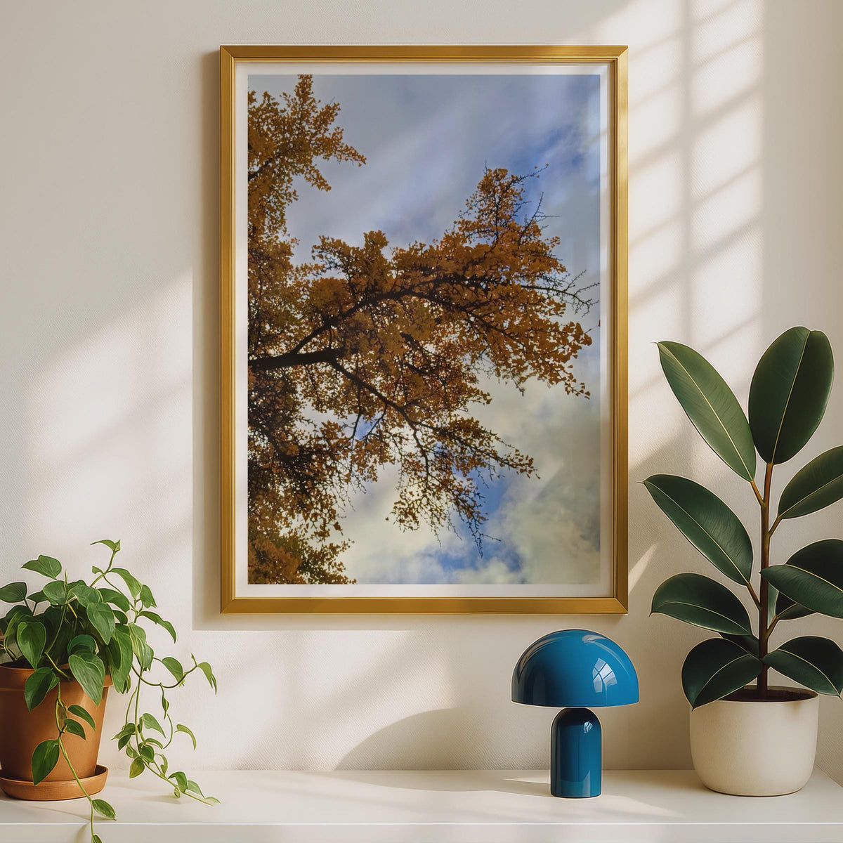 Autumn Tree Canopy Photography Print - image 2