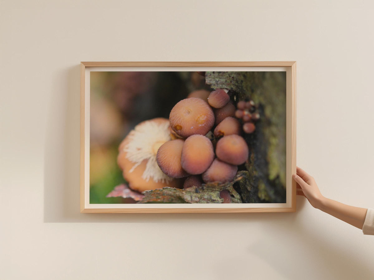Woodland Fungi Poster, Wild Mushroom Framed-Print, Nature Photography, Forest Fungi Wall Art, Botanical Decor, Earthy Tones Brown Pink