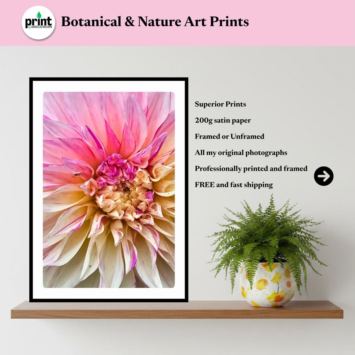 Soft Pink Dahlia Botanical Print | Pastel Floral Wall Art, Cottagecore Decor