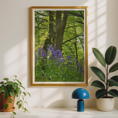 Bluebell Wood Photography Poster - image 2