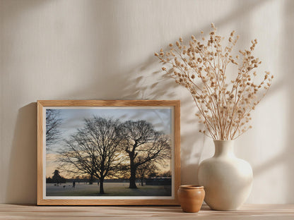 Winter Park Sunrise Tree Silhouette Poster mockup - Neutral_Mockup_Studio_509