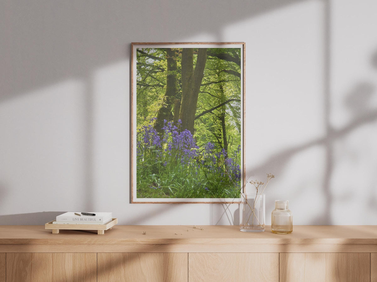Bluebell Wood Photography Poster - image 4