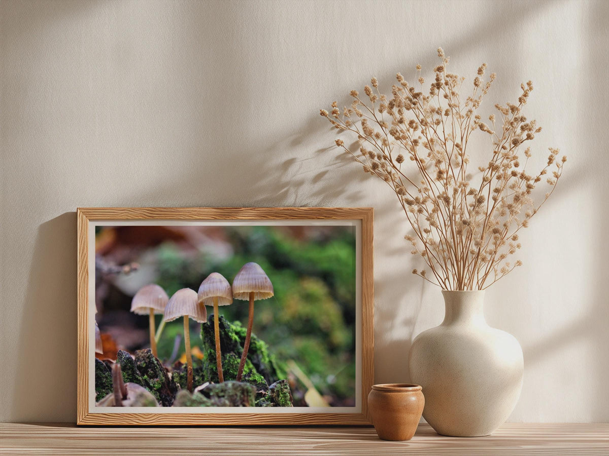 Woodland Fungi Poster mockup - Neutral_Mockup_Studio_509
