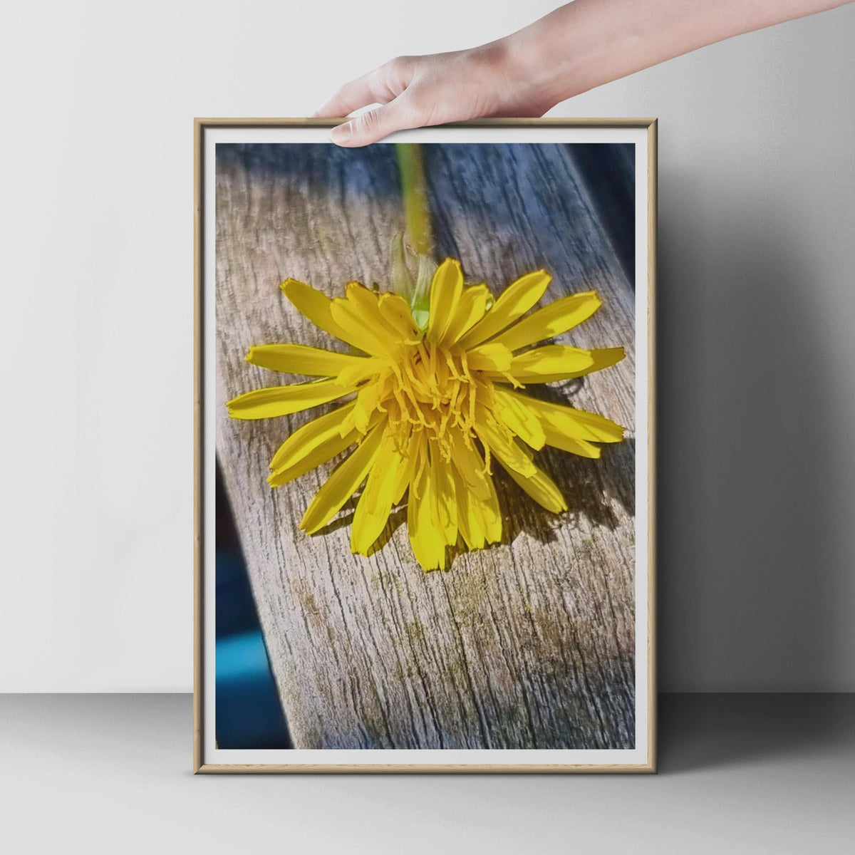 Yellow Dandelion Macro Photography Print, Wildflower Wall Art, Close Up Flower Poster, Nature Photo Print, Botanical Bedroom Decor