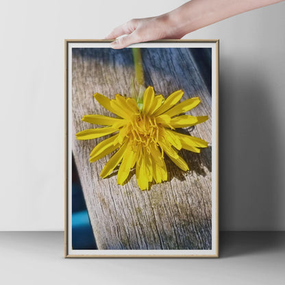 Yellow Dandelion Macro Photography Print, Wildflower Wall Art, Close Up Flower Poster, Nature Photo Print, Botanical Bedroom Decor