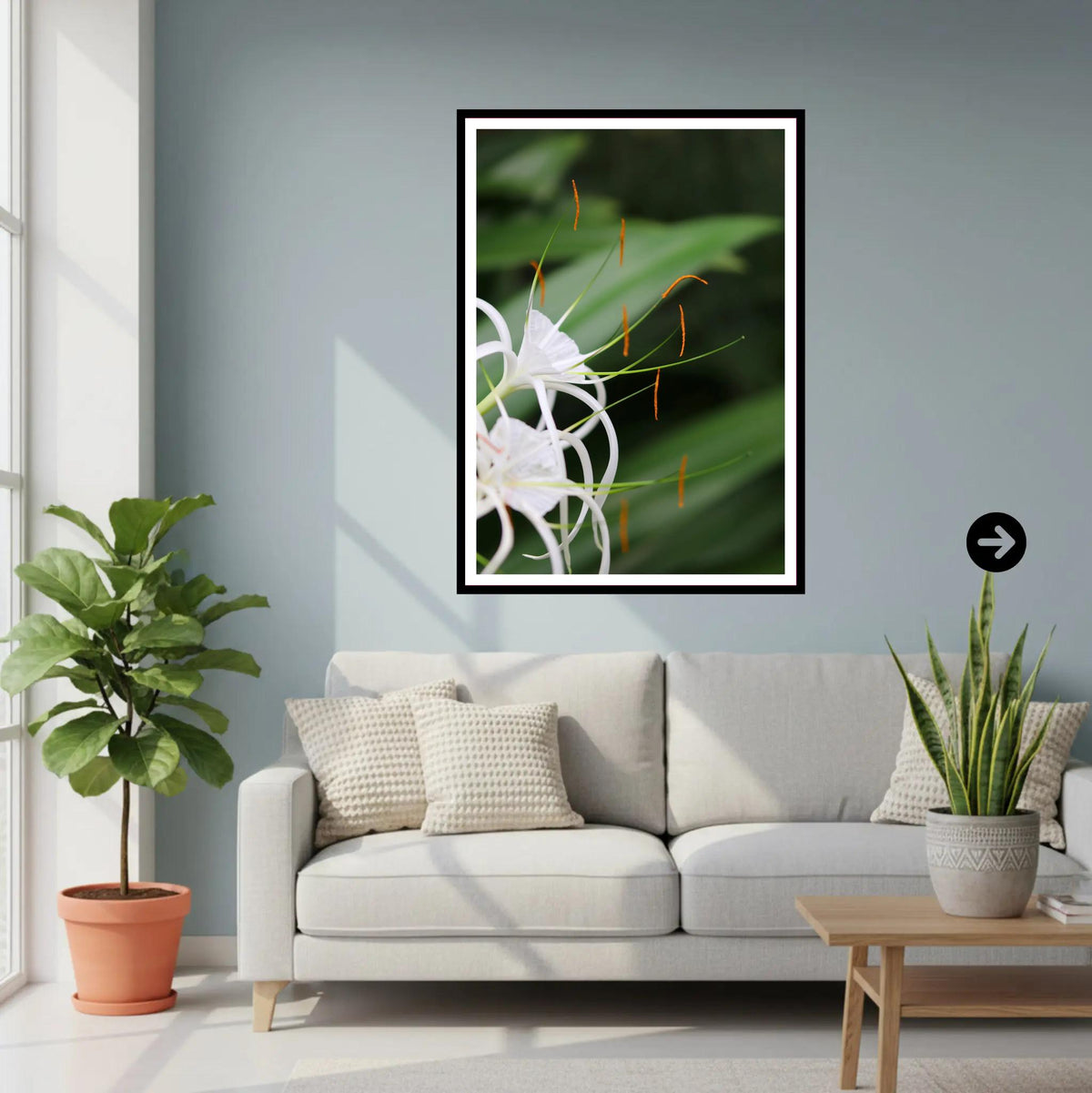 Spider Lily close-up — Eden Project Cornwall Wall Art Photography Print