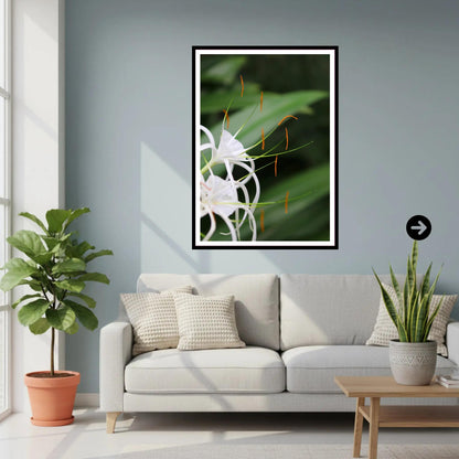 Spider Lily close-up — Eden Project Cornwall Wall Art Photography Print