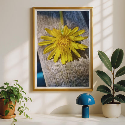 Yellow Dandelion Macro Photography Print, Wildflower Wall Art, Close Up Flower Poster, Nature Photo Print, Botanical Bedroom Decor