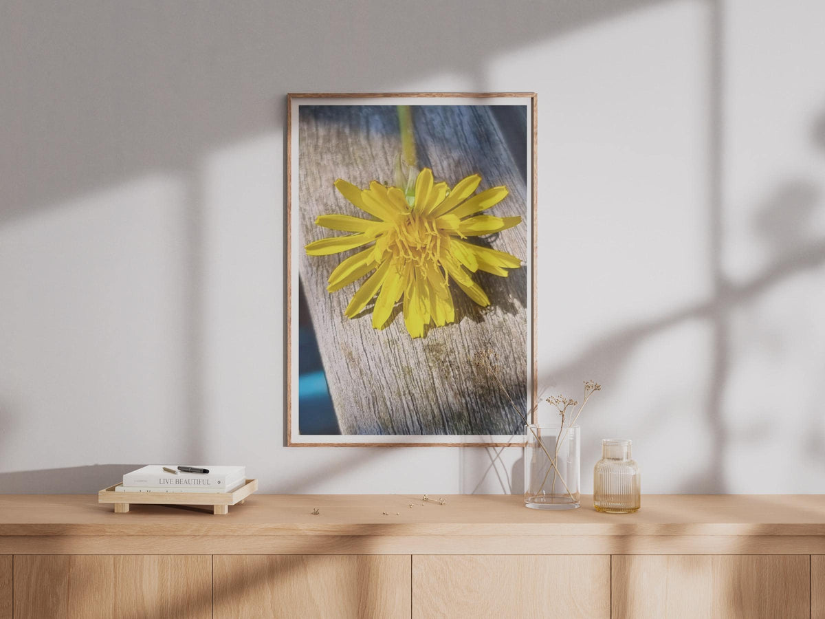 Yellow Dandelion Macro Photography Print, Wildflower Wall Art, Close Up Flower Poster, Nature Photo Print, Botanical Bedroom Decor