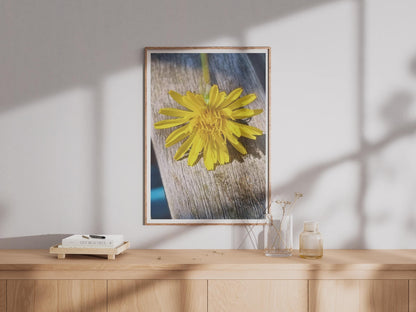 Yellow Dandelion Macro Photography Print, Wildflower Wall Art, Close Up Flower Poster, Nature Photo Print, Botanical Bedroom Decor