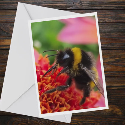 Close-Up Bumblebee Greeting Card, Dahlia Flower Photography, A6 Matte Nature Card