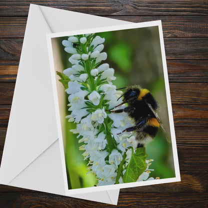 Bumblebee on White Flower A6 Card, Wildlife Photography Greeting, Nature Lover Gift