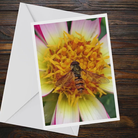Macro Hoverfly Dahlia Greeting Card, Wildlife Nature Photography A6 Matte Card