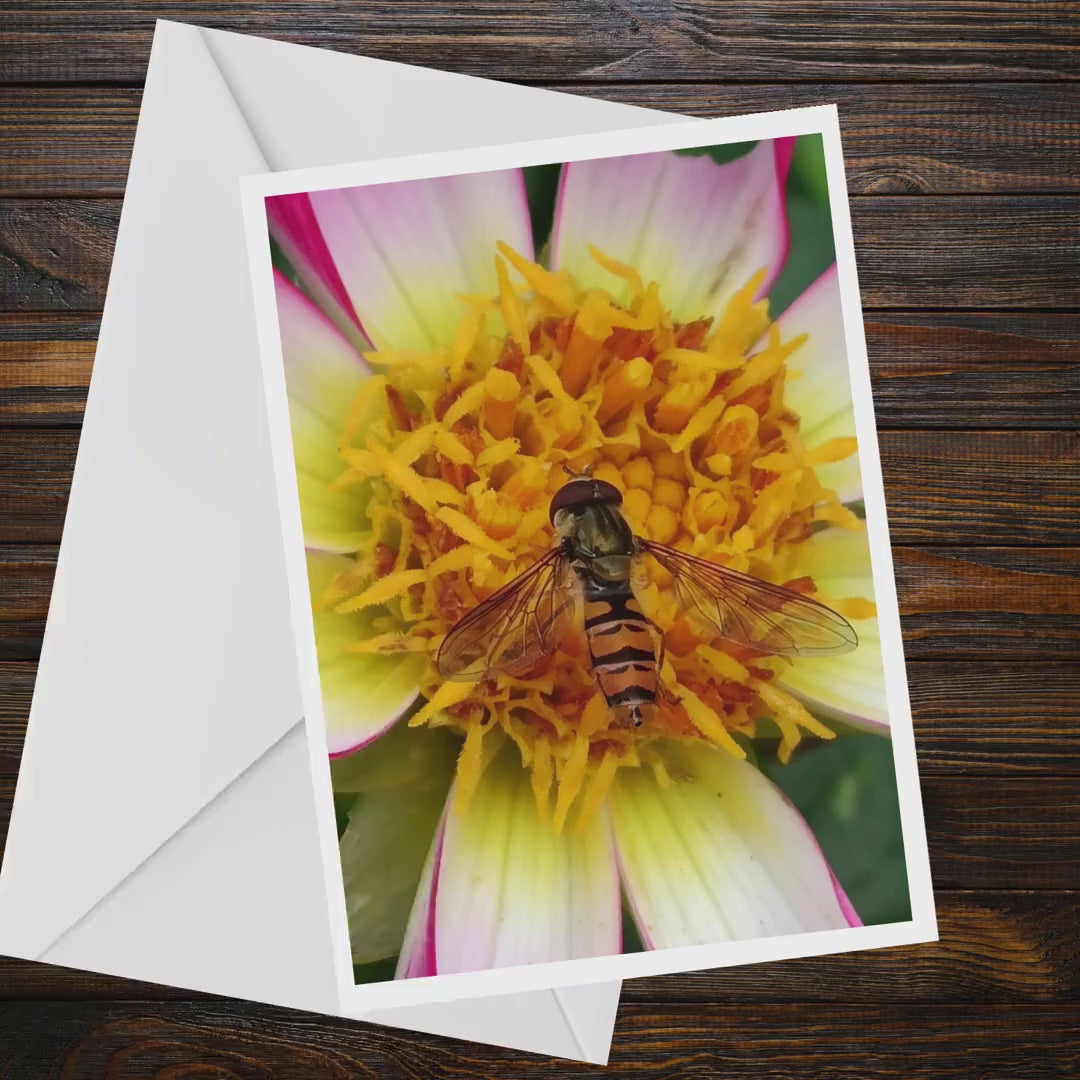 Macro Hoverfly Dahlia Greeting Card, Wildlife Nature Photography A6 Matte Card