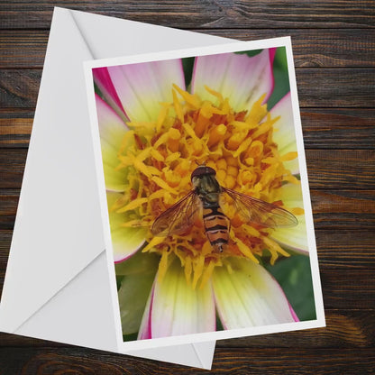 Macro Hoverfly Dahlia Greeting Card, Wildlife Nature Photography A6 Matte Card
