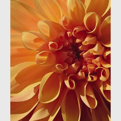 Orange Dahlia Macro Print | Golden Petal Botanical Wall Art