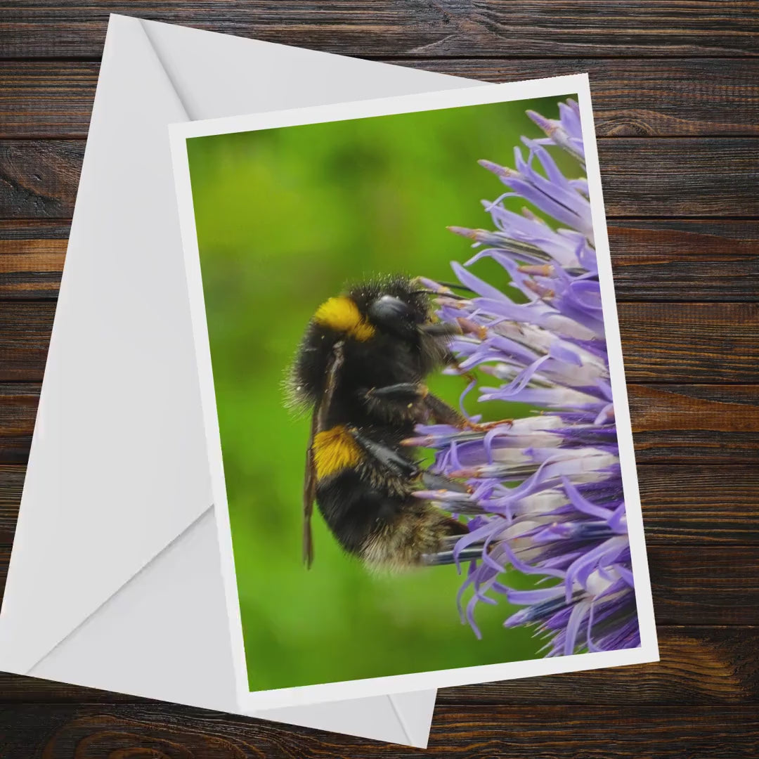 Bumblebee Flower Greeting Card, Wildlife Photography, A6 Matte Nature Card
