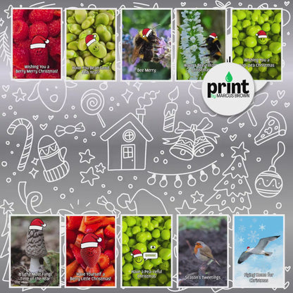 30 Christmas Cards Multipack | 10 Funny Nature Designs | 3 of Each | Christmas Card Variety Pack | Optional Printed Message A6